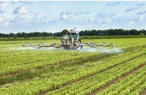 <a href=http://www.057412356.com/mcy/ target=_blank class=infotextkey>木醋液</a>